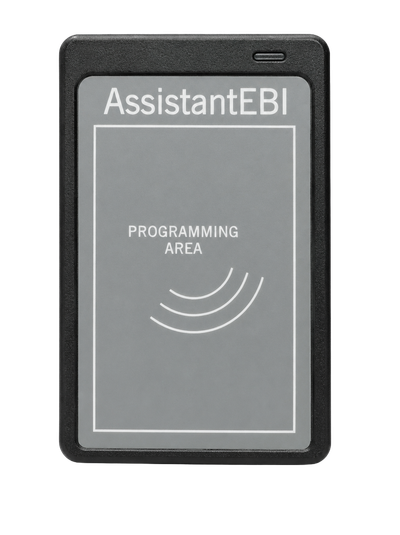 ASSISTANT EBI
